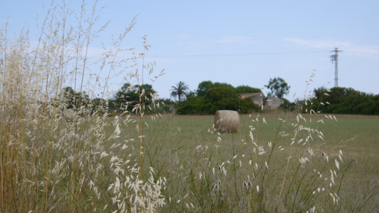 Histaminintoleranz – wenn der Körper auf Histamin überreagiert